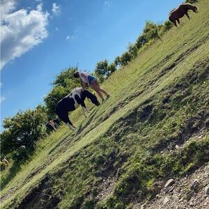 Meet your Posher, Katlyn